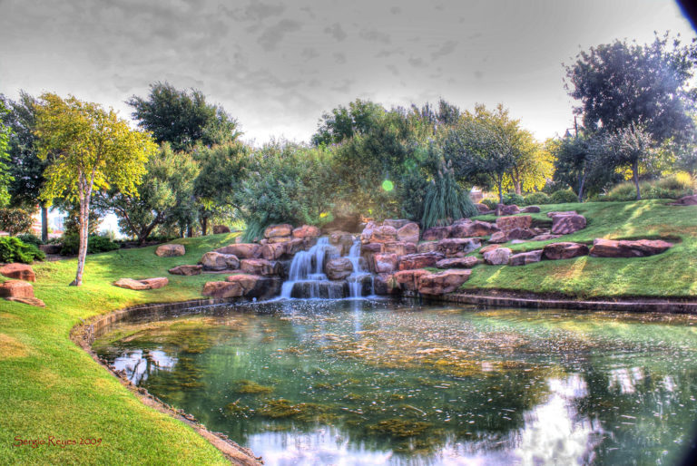 Central Park in Frisco: A Blend of Art and Nature for Your Photoshoot
