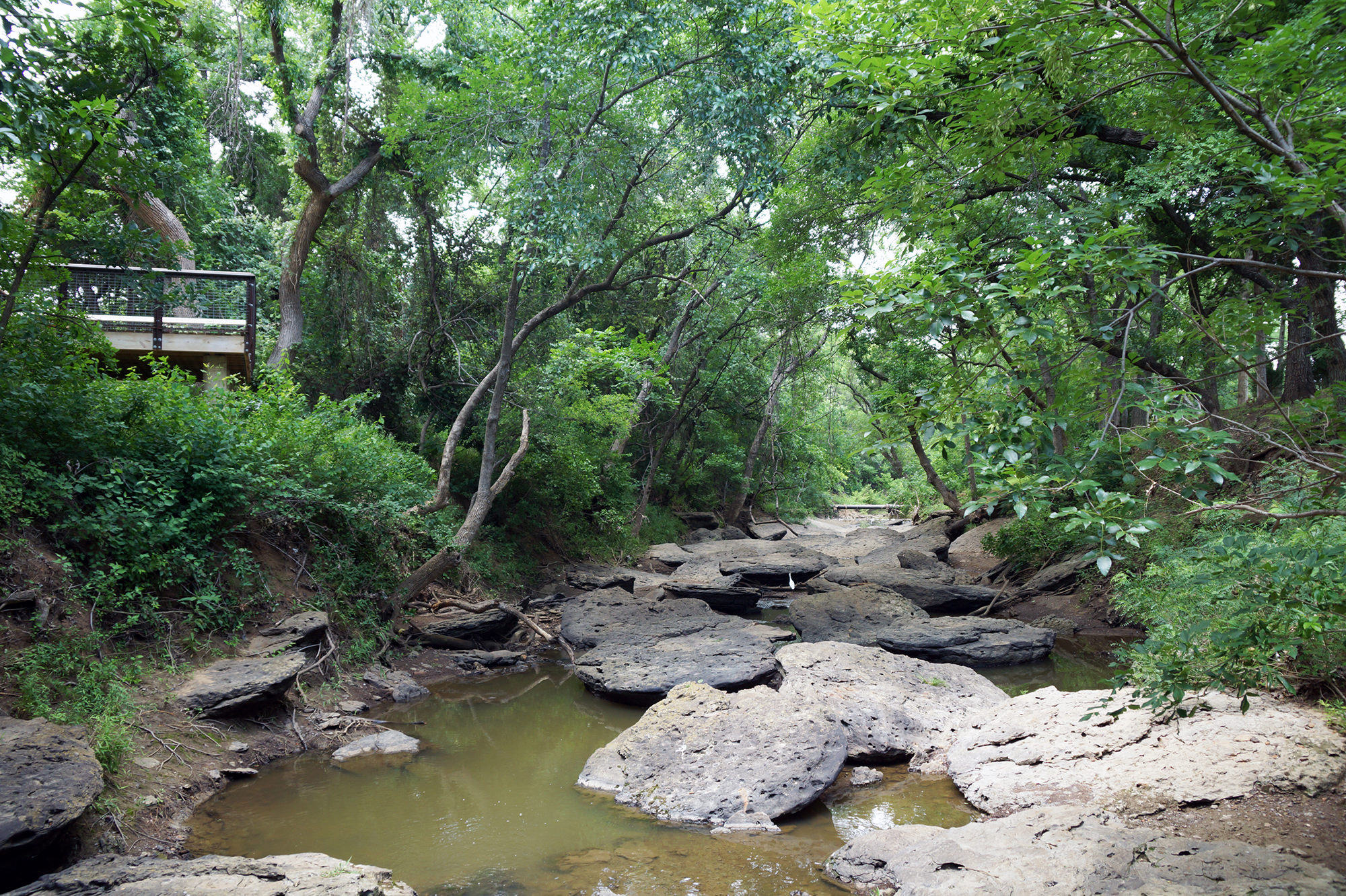 Elmer W. Oliver Nature Park: Capturing Natural Beauty in Mansfield ...