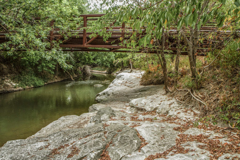 Rowlett Creek Preserve: Capturing Life’s Moments in Garland’s Picturesque Outdoors