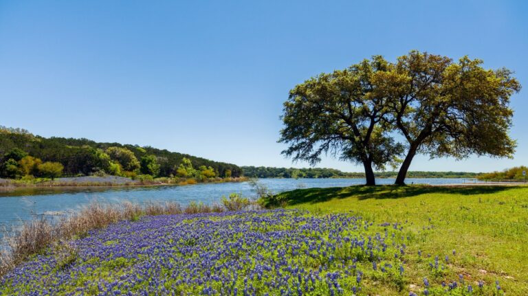 Capture Beautiful Memories at Cedar Hill State Park