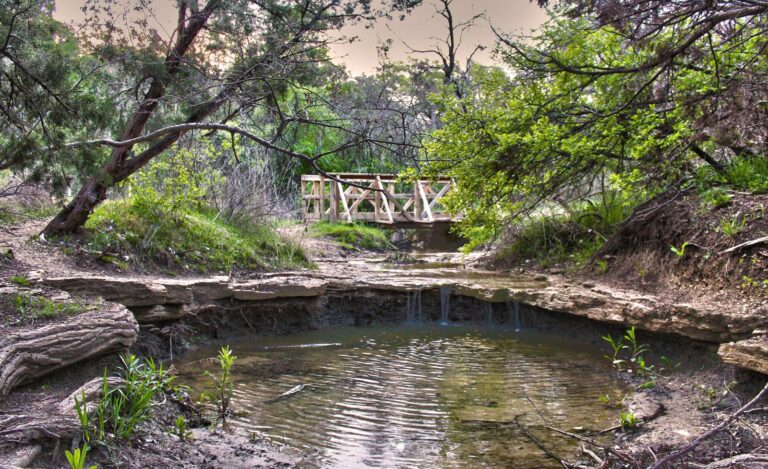 Photography Sessions at Cedar Ridge Preserve