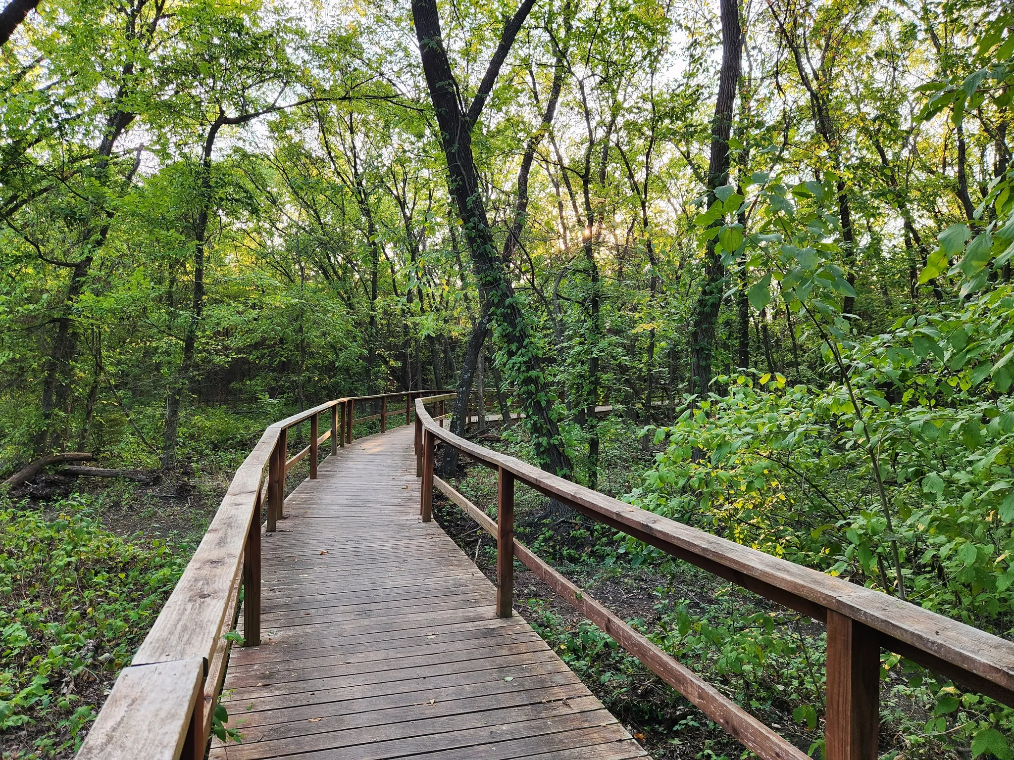 Discover the Beauty of Mockingbird Nature Park for Your Next Photography Session